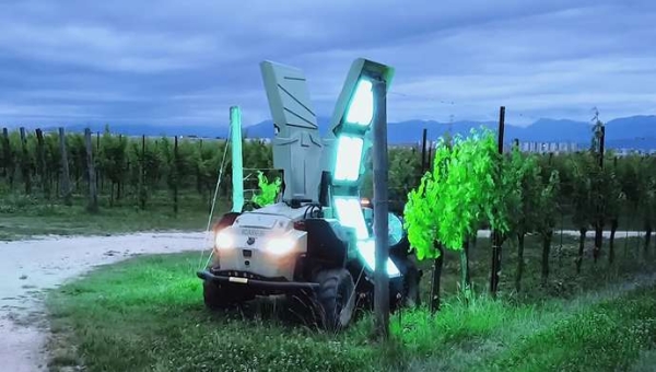 Icaro X4:Το υβριδικό ρομπότ καταργεί τα μυκητοκτόνα στο αμπέλι